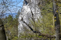 DSC_0467