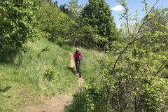 IMG_20190511_112550