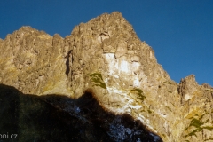 img889