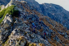 img919