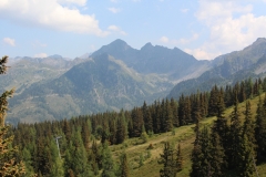 IMG_0727