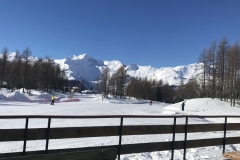 IMG_20190204_111144