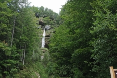 IMG_20190816_103008_1
