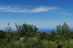 IMG_20190817_122627_1
