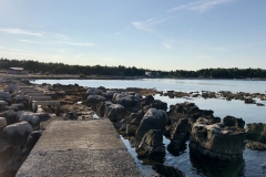 IMG_20190818_080204