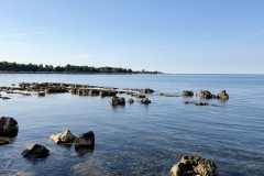 IMG_20190818_080207