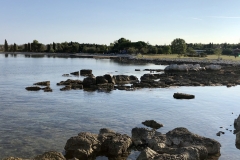 IMG_20190818_080215