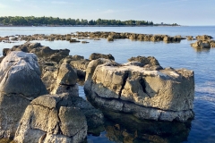 IMG_20190818_080344