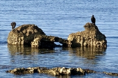 IMG_20190818_080425