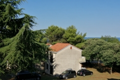 IMG_20190818_090042_1
