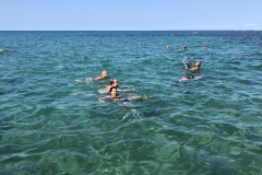 IMG_20190818_110233