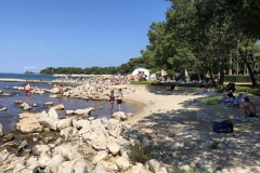 IMG_20190818_113527