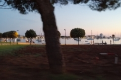 IMG_20190818_202657_1