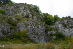 P1000523