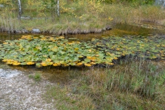 P1000524