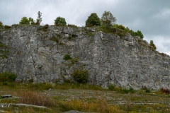 P1000525