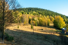 P1000546