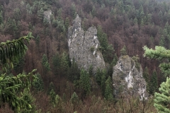 IMG_20191109_114518