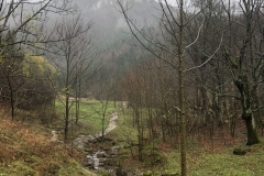 IMG_20191109_115430_1