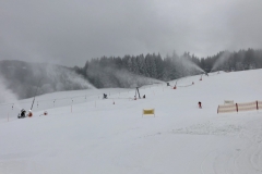 IMG_20191212_110301