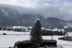 IMG_20191213_085848