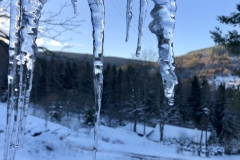 IMG_20191231_085759