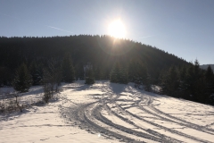 IMG_20191231_102041