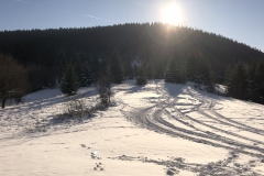 IMG_20191231_102120