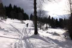 IMG_20191231_104546