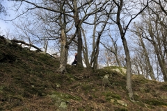 IMG_20200112_094510