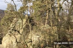 IMG_20200112_095047