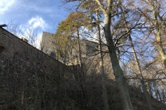 IMG_20200112_112807