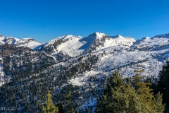 IMG_3230photo