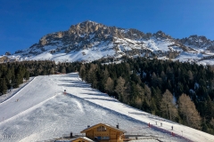 IMG_3333photo