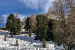 IMG_3338photo