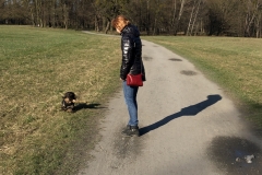 IMG_20200314_153232