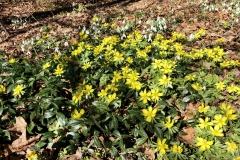 IMG_20200315_110510