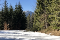 IMG_20200315_114826