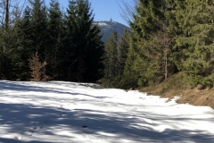 IMG_20200315_114838