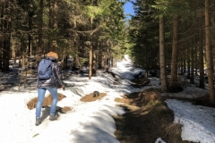 IMG_20200315_115049