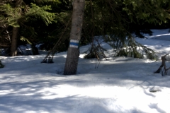 IMG_20200315_124038