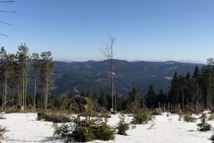 IMG_20200315_131948