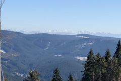 IMG_20200315_132003