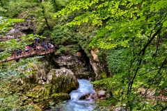 IMG_20190814_103329