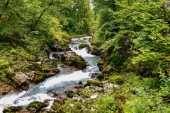 IMG_20190814_103432